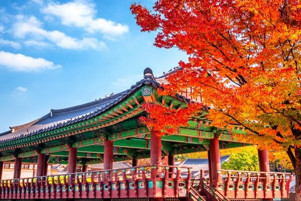 mùa lá đỏ Hàn Quốc